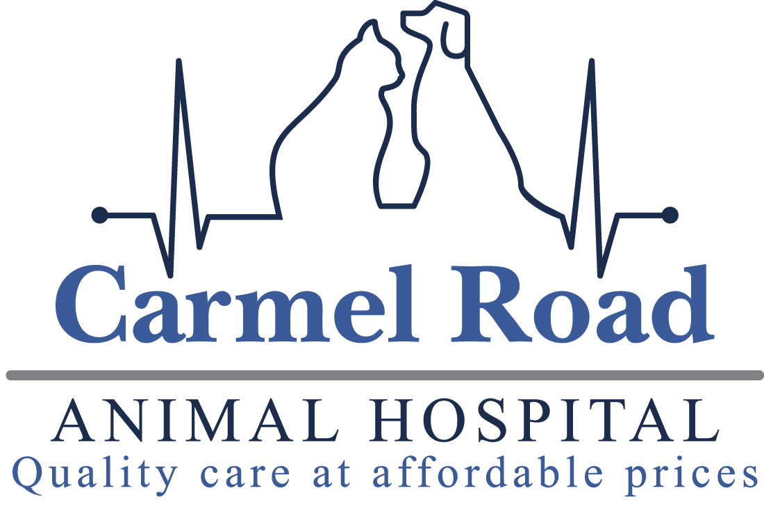Carmel Road Animal Hospital header logo